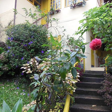 Rosa Amarela Sao Pedro da Serra (Rio de Janeiro) Bagian luar foto